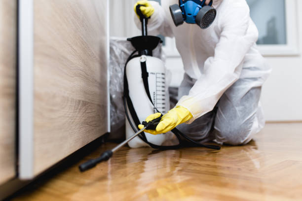 Best Best Pest Control Companies  in Richland Hills, TX