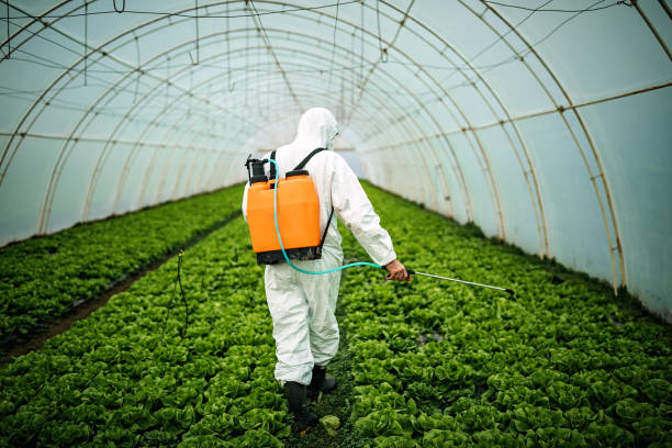 Best Pest Prevention Services  in Richland Hills, TX