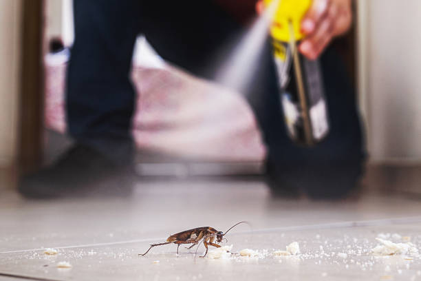 Best Bed Bug Extermination  in Richland Hills, TX