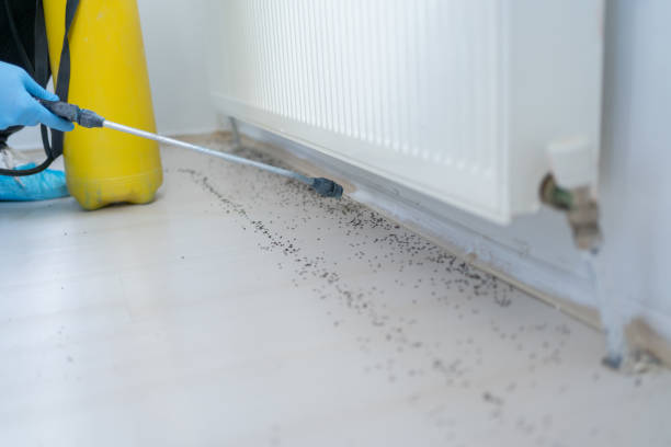 Best Best Pest Control Companies  in Richland Hills, TX